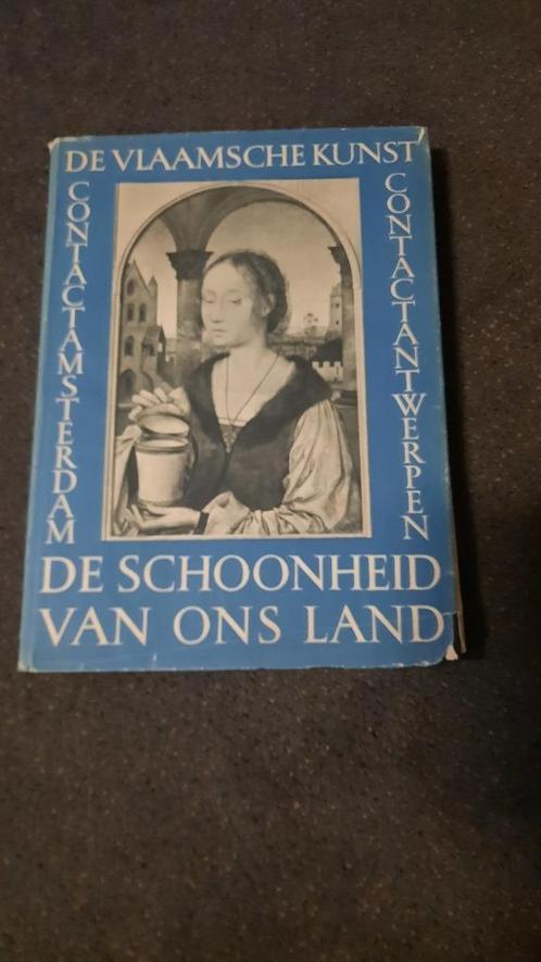 De Vlaamsche Kunst, Antiek en Kunst, Antiek | Boeken en Bijbels, Ophalen of Verzenden