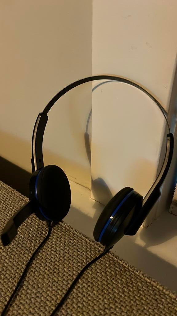 Gaming headset ps4, Ophalen of Verzenden, Mute-functie, Zo goed als nieuw, Bedraad