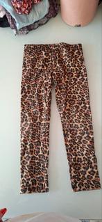 Leuke broek met luipaardprint maat 104, Kinderen en Baby's, Kinderkleding | Maat 104, Broek, Meisje, Ophalen of Verzenden, Zo goed als nieuw