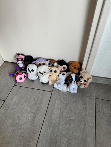 110+ Beanie boos 