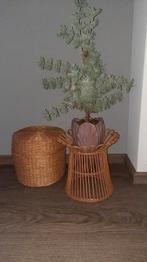 Rotan plantenstandaard, Ophalen of Verzenden, Huis en Inrichting