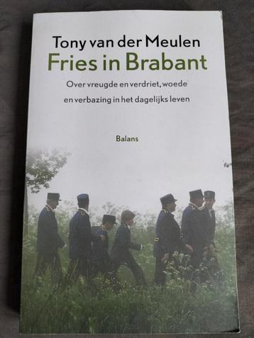Tony van der Meulen - Fries in Brabant beschikbaar voor biedingen