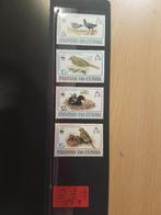Vogels  Tristan Da Cunha 1991 postfris., Postzegels en Munten, Postzegels | Thematische zegels, Ophalen of Verzenden, Dier of Natuur