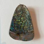 Prachtige abalone kettinghanger, Verzenden, Nieuw, Overige materialen