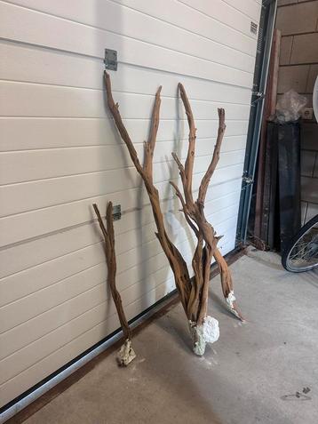 Ghost wood beschikbaar voor biedingen