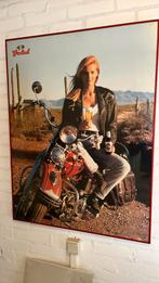 Grolsch poster in aluminium lijst Vintage, Verzamelen, Ophalen, Rechthoekig Staand, Met lijst, Deurposter of groter