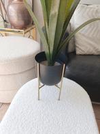 Super leuke bloempotten, Huis en Inrichting, Ophalen of Verzenden, Zo goed als nieuw, Overige kleuren, Minder dan 50 cm