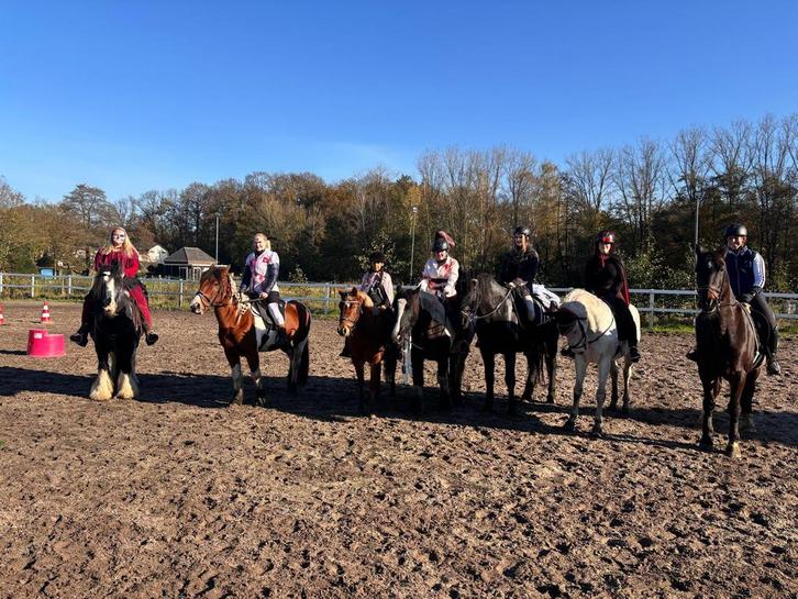 Leaspaarden/pony’s in loenen, Dieren en Toebehoren, Stalling en Weidegang, Toebehoren, 4 paarden of pony's of meer