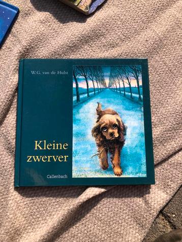 Kleine Zwerver - W.G. van de Hulst beschikbaar voor biedingen