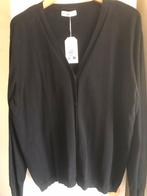 Paprika maat 46/48, Zwart, Trui of Vest, Nieuw, Ophalen of Verzenden