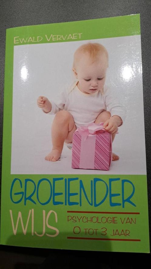 Ewald Vervaet - Groeienderwijs, Boeken, Zwangerschap en Opvoeding, Zo goed als nieuw, Ophalen of Verzenden