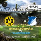 Kaarten Borussia Dortmund - Hoffenheim, Tickets en Kaartjes, Februari