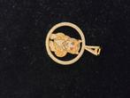 14 k gouden panter hanger 7,5 gram, Sieraden, Tassen en Uiterlijk, Kettinghangers, Ophalen of Verzenden, Nieuw, Goud, Goud