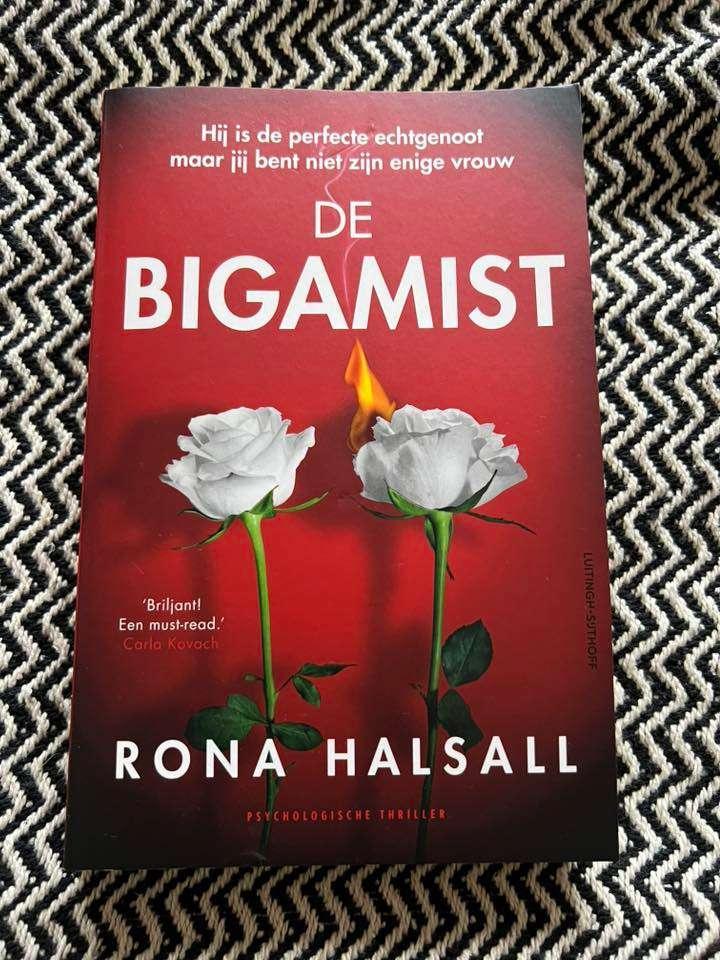 De bigamist - Rona Halsall, Boeken, Thrillers, Zo goed als nieuw, Amerika, Ophalen