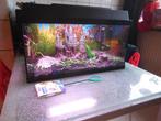 complete juwel 60 x 30 x 30 met toebehoren en inrichting, Dieren en Toebehoren, Vissen | Aquaria en Toebehoren, Ophalen, Gebruikt
