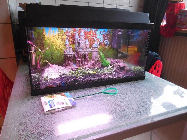 complete juwel 60 x 30 x 30 met toebehoren en inrichting, Dieren en Toebehoren, Vissen | Aquaria en Toebehoren, Gebruikt, Leeg aquarium