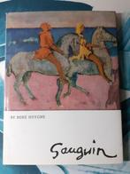 Boek schilder Gauguin, Boeken, Kunst en Cultuur | Beeldend, Gelezen, Ophalen of Verzenden, Schilder- en Tekenkunst