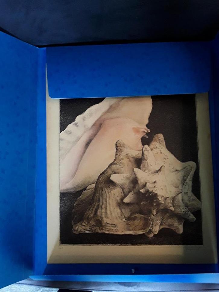 Evert Musch, monumenten der zee 7 litho's, Antiek en Kunst, Kunst | Schilderijen | Klassiek, Ophalen of Verzenden