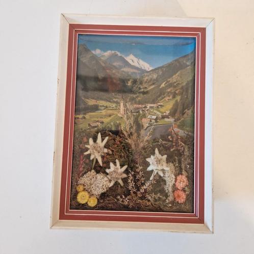 vintage lijstje tirol edelweiss droogbloemen schilderij, Verzamelen, Retro, Huis en Inrichting, Ophalen of Verzenden