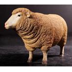 Sheep Merino Eve – Schaap beeld Lengte 96 cm, Ophalen, Nieuw