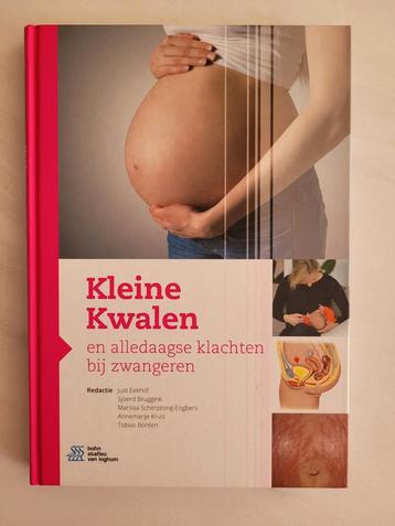 Kleine Kwalen en alledaagse klachten bij zwangeren beschikbaar voor biedingen