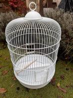 Vogelkooi met toebehoren, Dieren en Toebehoren, Vogels | Hokken en Kooien, Ophalen, Nieuw, Metaal, Vogelkooi