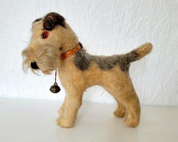 Mooie oude Airedale Terrier  beschikbaar voor biedingen