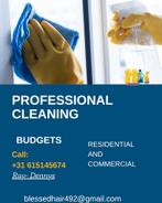 Cleaning service, Diensten en Vakmensen, Huishoudelijke hulp