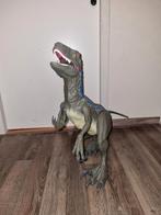 Grote raptor, Ophalen