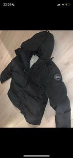Canada goose macmillan, Ophalen of Verzenden, Nieuw, Maat 46 (S) of kleiner, Zwart