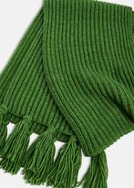 Extralange ribgebreide sjaal met kwasten Essentiel Antwerp, Kleding | Dames, Mutsen, Sjaals en Handschoenen, Sjaal, Zo goed als nieuw