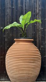 2 nieuwe grote Griekse keramische terracotta ringenpotten, Ophalen, Zo goed als nieuw