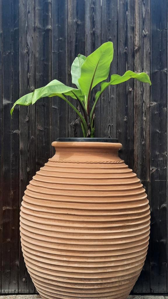 2 nieuwe grote Griekse keramische terracotta ringenpotten, Tuin en Terras, Tuinvazen, Zo goed als nieuw, Ophalen