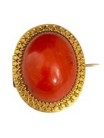 Antieke gouden broche met grote bloedkoraal (22x17 mm), Verzenden, Goud, Broche, Met edelsteen