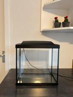 Superfish aquarium 30 liter, Dieren en Toebehoren, Ophalen of Verzenden, Gebruikt, Leeg aquarium