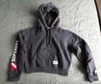 Superdry Cropped Hoodie Donkerblauw, Gedragen, Blauw, Superdry, Maat 38/40 (M)