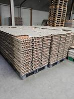 Dagverse bruine eieren MASSAVOORDEEL, Ophalen of Verzenden