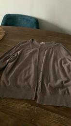 1 x dames vest  maat xl, Ophalen, Gedragen, Maat 46/48 (XL) of groter