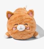 GEZOCHT: HEMA Knuffel Kat XL!, Ophalen of Verzenden, Gebruikt, Poes
