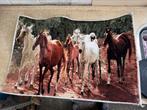 Perzisch Wandtapijt 50x70 cm – Wilde Paarden in Beweging, Ophalen of Verzenden