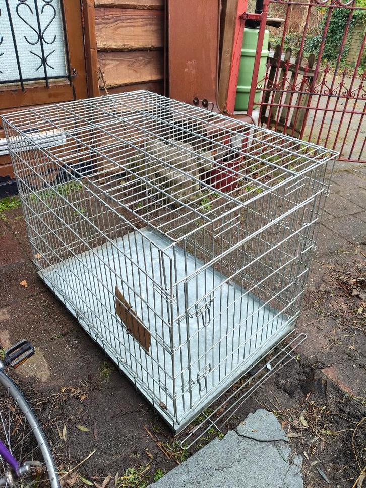 Gratis (ophalen) Honden kooi, Dieren en Toebehoren, Hondenhokken, Gebruikt, 65 tot 100 cm, 75 tot 110 cm, Ophalen