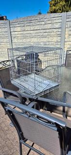 Honden beche, Ophalen of Verzenden, Gebruikt