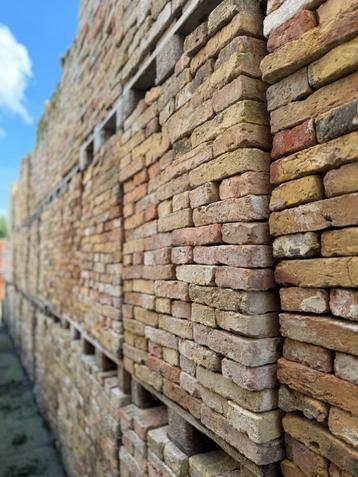100.000 stuks steen waalformaat appelbloesem op voorraad. beschikbaar voor biedingen