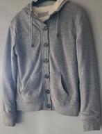 GRIJS VEST FLUFFY GEVOERD M, Kleding | Dames, Truien en Vesten, Ophalen of Verzenden, Zo goed als nieuw, Grijs