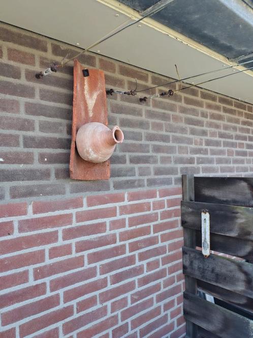 Authentieke mussenpot, Dieren en Toebehoren, Vogels | Overige Vogels, Tropenvogel, Mannelijk