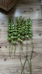 Kunsttakken, Ophalen, Zo goed als nieuw