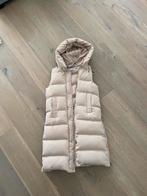 Beige lange bodywarmer (dames S) nieuw!, Kleding | Dames, Nieuw, Beige, Ophalen of Verzenden, Maat 36 (S)