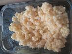 Melkkefir verse korrels, Diversen, Levensmiddelen, Ophalen