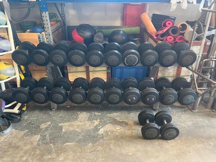 Technogym dumbbell dumbell set gewichten 22-42 kg, Sport en Fitness, Fitnessmaterialen, Gebruikt, Dumbbell, Ophalen