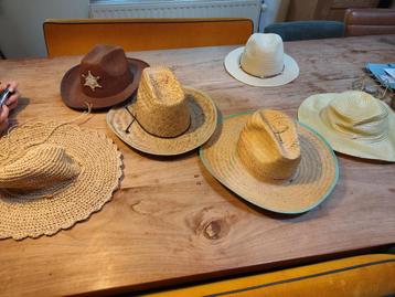 Diverse hoeden collectie beschikbaar voor biedingen